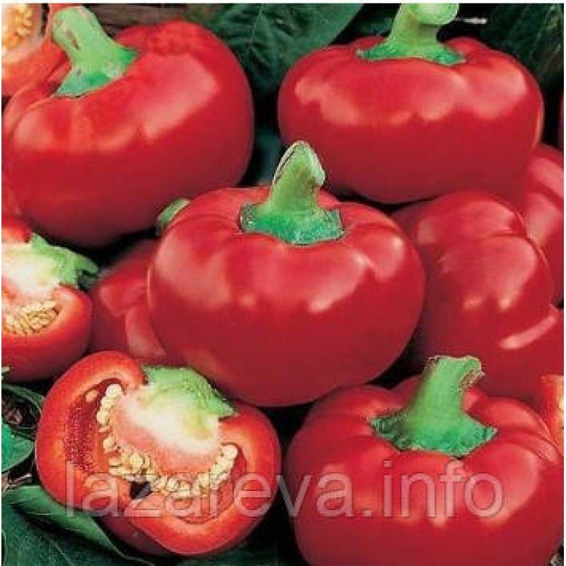 Насіння перцю Колобок  20 насінин