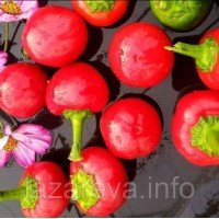 Семена перца Меришор 20 семян