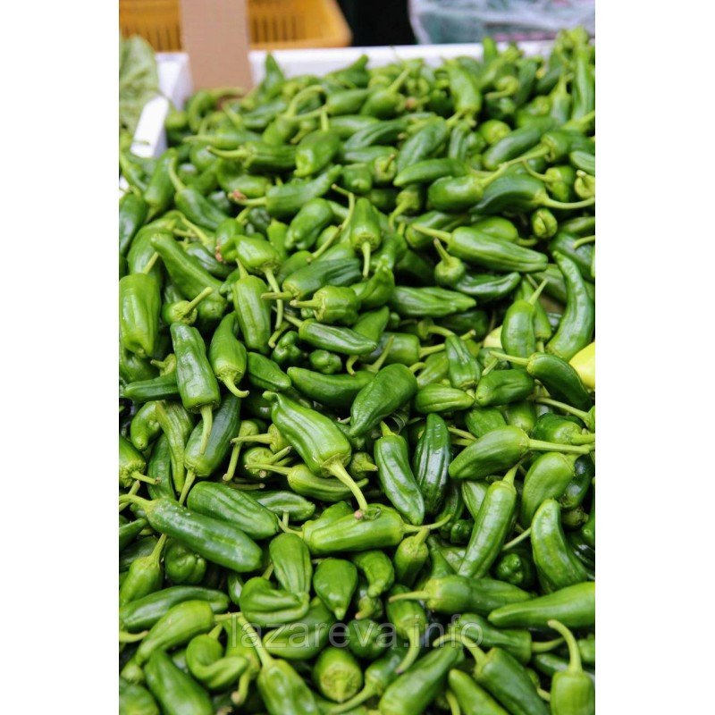 Насіння перцю Падрон 20 насінин Насіння перцю Падрон 20 насінин