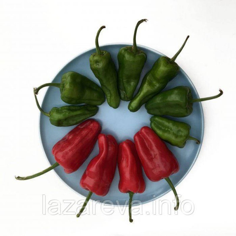 Насіння перцю Падрон 20 насінин Насіння перцю Падрон 20 насінин