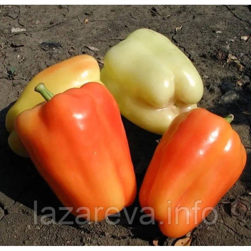 Насіння перцю Фламінго 20 насінин Насіння перцю Фламінго 20 насінин