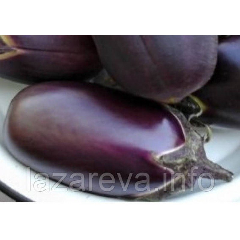 Насіння баклажана Баліссо 30 насінин Насіння баклажана Баліссо 30 насінин