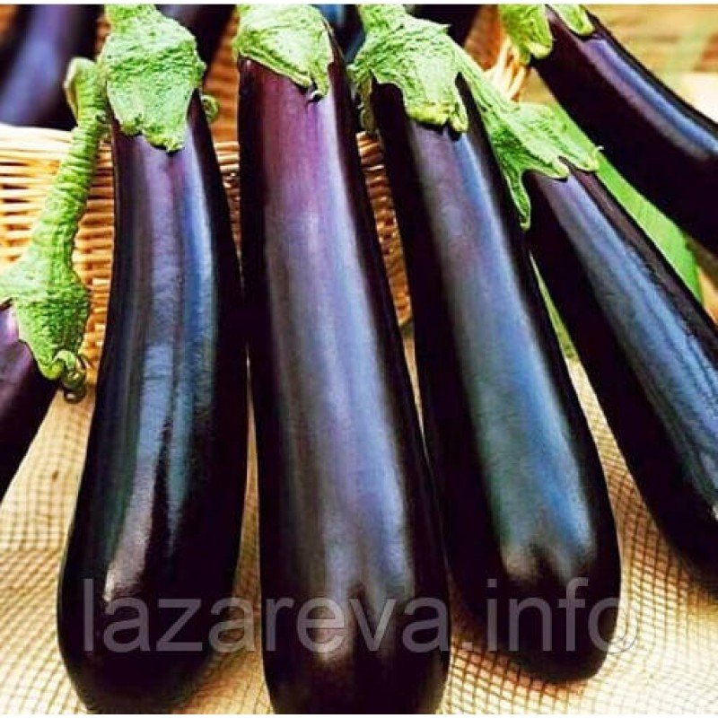 Насіння баклажан Фіолетове диво 30 нас Насіння баклажан Фіолетове диво 30 нас