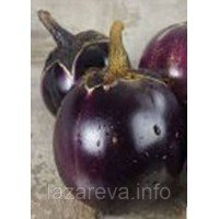 Насіння баклажан Флоренція 30 нас Насіння баклажан Флоренція 30 нас