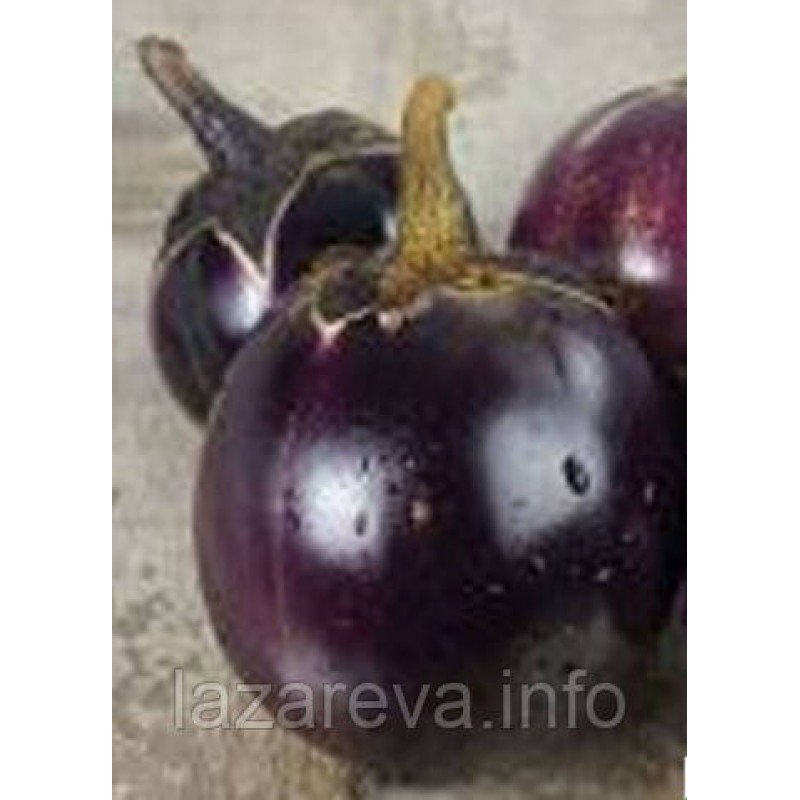 Насіння баклажан Флоренція 30 нас Насіння баклажан Флоренція 30 нас