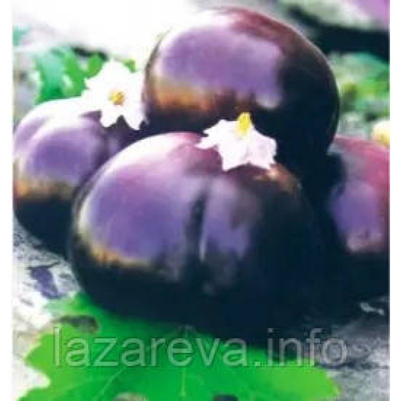 Насіння баклажан Геліос 30 нас Насіння баклажан Геліос 30 нас