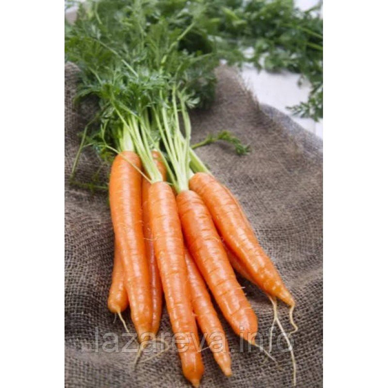 Насіння моркви Королева осені 10 г Насіння моркви Королева осені 10 г