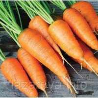 Насіння моркви Каротель 10 г Насіння моркви Каротель 10 г