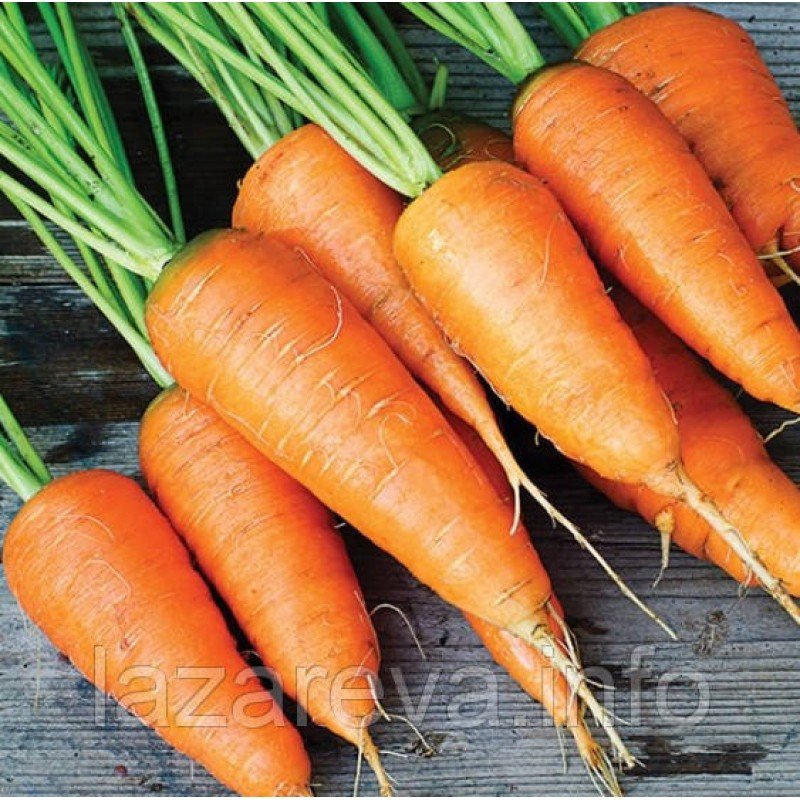 Насіння моркви Каротель 10 г Насіння моркви Каротель 10 г