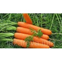 Насіння моркви Ніка 10 г