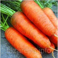 Семена моркови Болтекс  10 г Семена моркови Болтекс  10 г