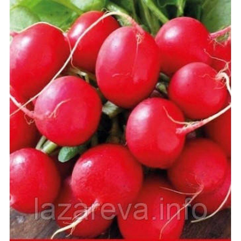 Семена редиса Сакса 3 г Семена редиса Сакса 3 г