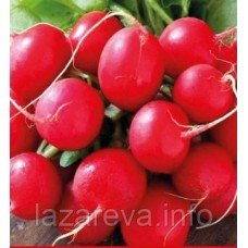 Семена редиса Красный с белым кончиком 3 г