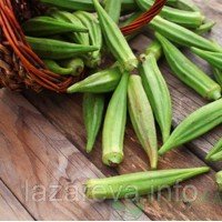 Насіння бамії Діброва 2 г Насіння бамії Діброва 2 г