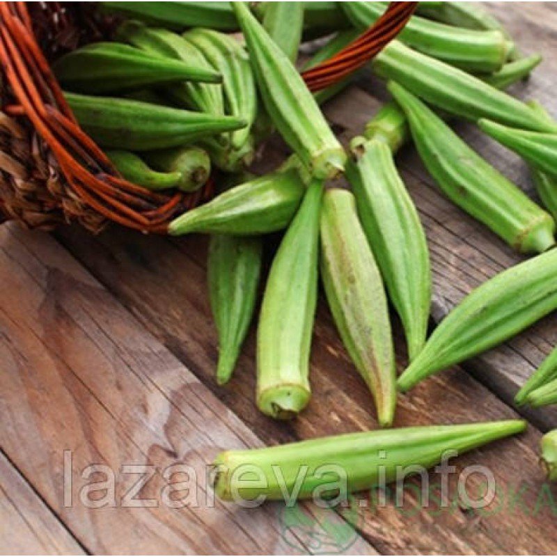 Насіння бамії Діброва 2 г Насіння бамії Діброва 2 г