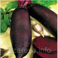 Насіння буряка Циліндра 15 г Насіння буряка Циліндра 15 г