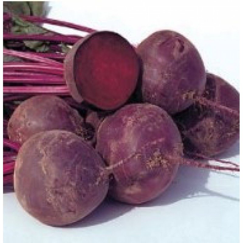 Насіння буряка Трон  15 г Насіння буряка Трон  15 г