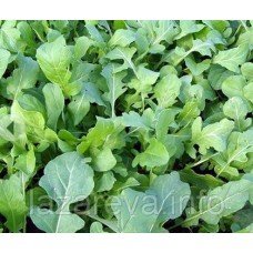 Семена руколы Знахар 2 г