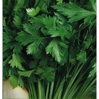 Насіння петрушки Амстердам 2 г Насіння петрушки Амстердам 2 г