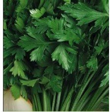 Семена петрушки Амстердам 2 г