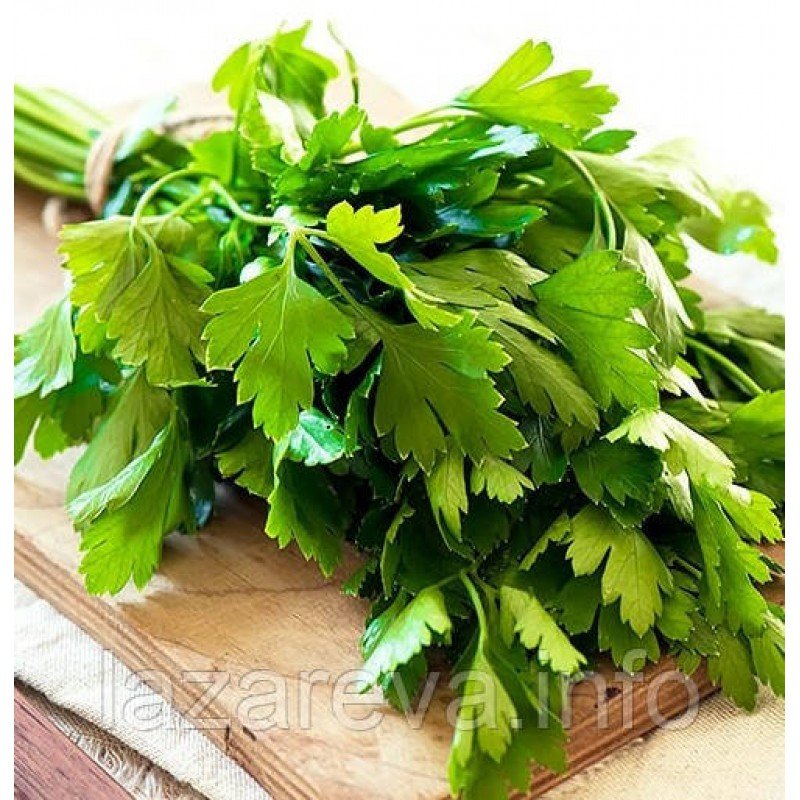 Семена петрушки Гигантелла 2 г Семена петрушки Гигантелла 2 г