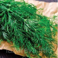 Насіння кропу Алігатор 2 г Насіння кропу Алігатор 2 г