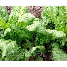 Шпинат Фантазія 2 г