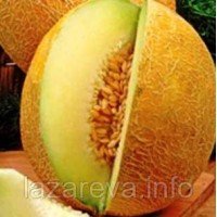 Насіння дині Тітовка 3 г Насіння дині Тітовка 3 г