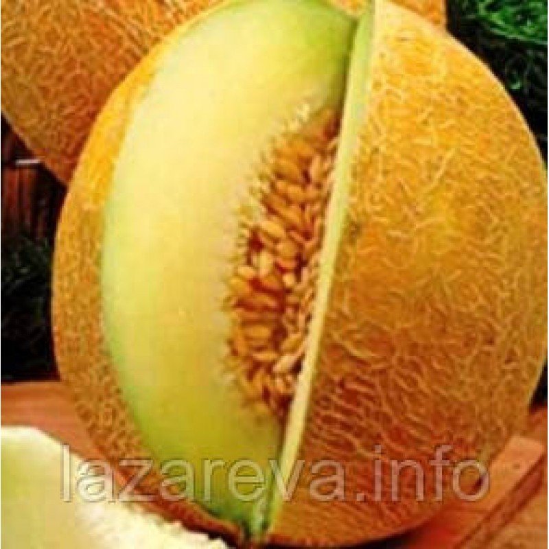 Насіння дині Тітовка 3 г Насіння дині Тітовка 3 г