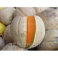 Семена дыни Сан-Ремо 3 г Семена дыни Сан-Ремо 3 г