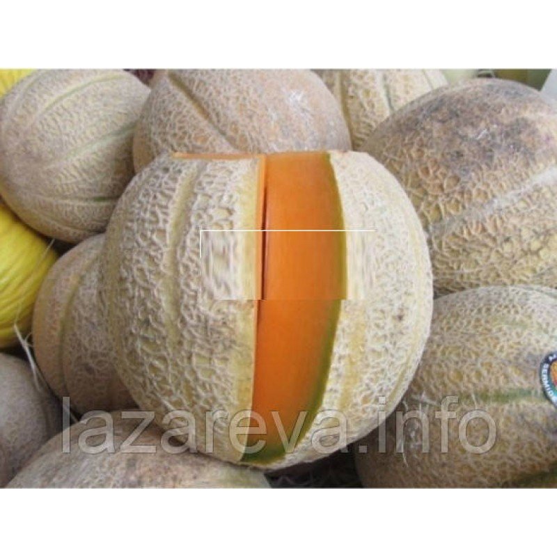 Насіння дині Сан-Ремо 3 г Насіння дині Сан-Ремо 3 г