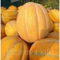 Насіння дині Ефіопка 3 г Насіння дині Ефіопка 3 г