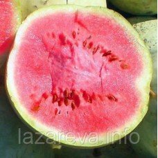 Семена арбузов Чумак 3 г