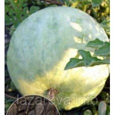 Семена арбузов Белый 3 г