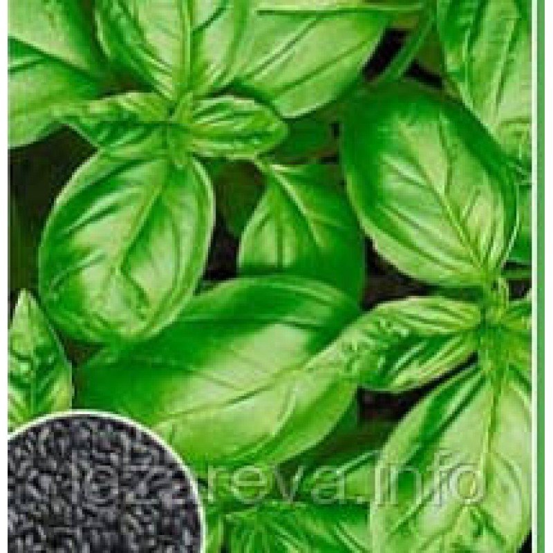 Базилік Зелений 1 г