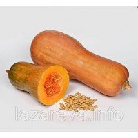 Насіння гарбуза Доля  5 гр