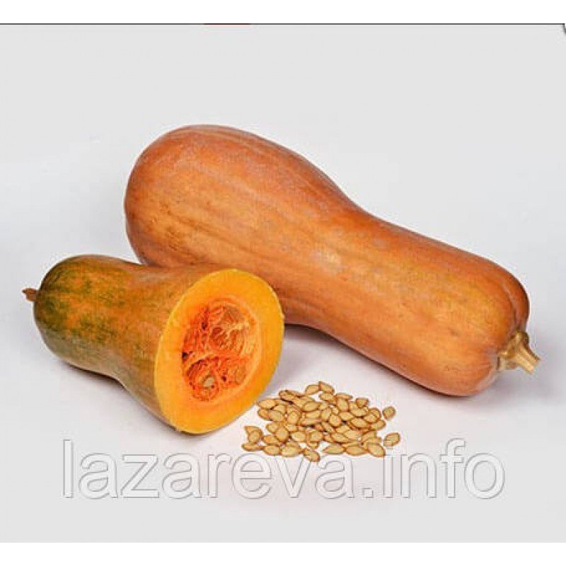 Насіння гарбуза Доля  5 гр