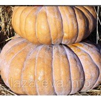 Тыква Бальзам 5 гр. Тыква Бальзам 5 гр.