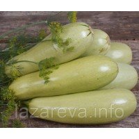 Насіння кабачків Грибовський 15 насінин Насіння кабачків Грибовський 15 насінин