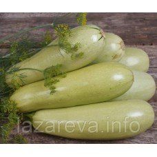 Насіння кабачків Грибовський 15 насінин