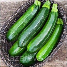 Насіння кабачків Аеронавт 15 нас