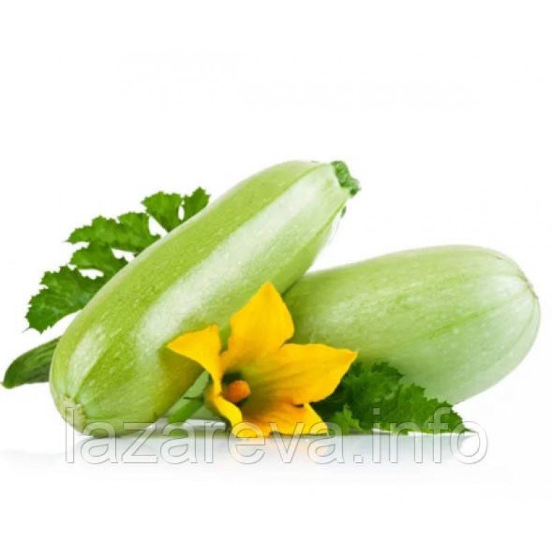 Насіння кабачків Чаклун 10 нас