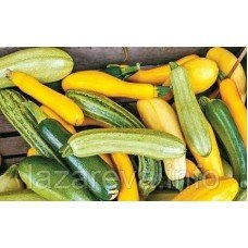 Насіння кабачків Суміш сортів 5 г