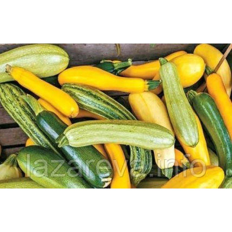 Насіння кабачків Суміш сортів 5 г Насіння кабачків Суміш сортів 5 г