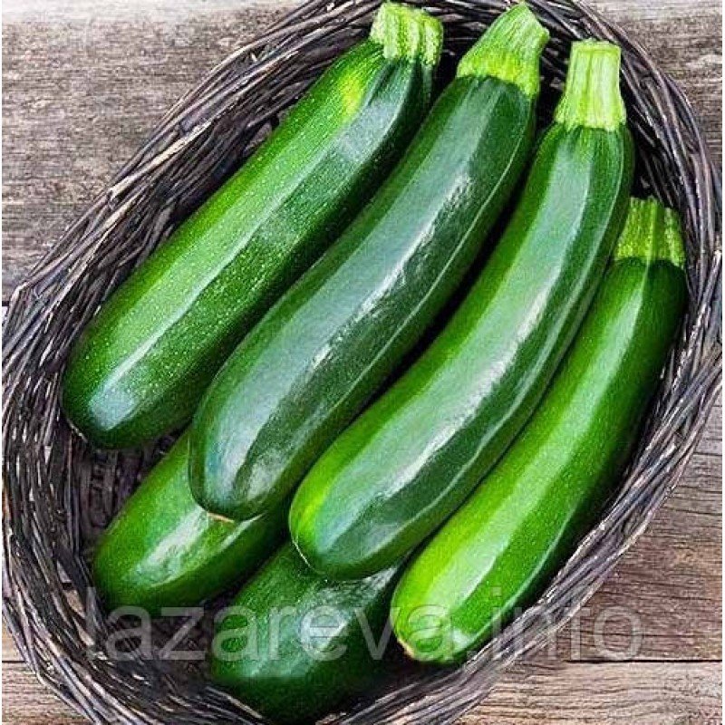 Насіння кабачків Аеронавт 15 шт Насіння кабачків Аеронавт 15 шт