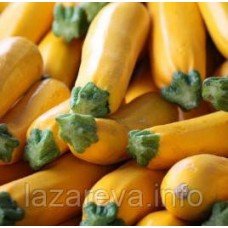 Насіння кабачка Золотинка 15 гр