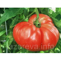 Семена томата Амиш 15 сем Семена томата Амиш 15 сем
