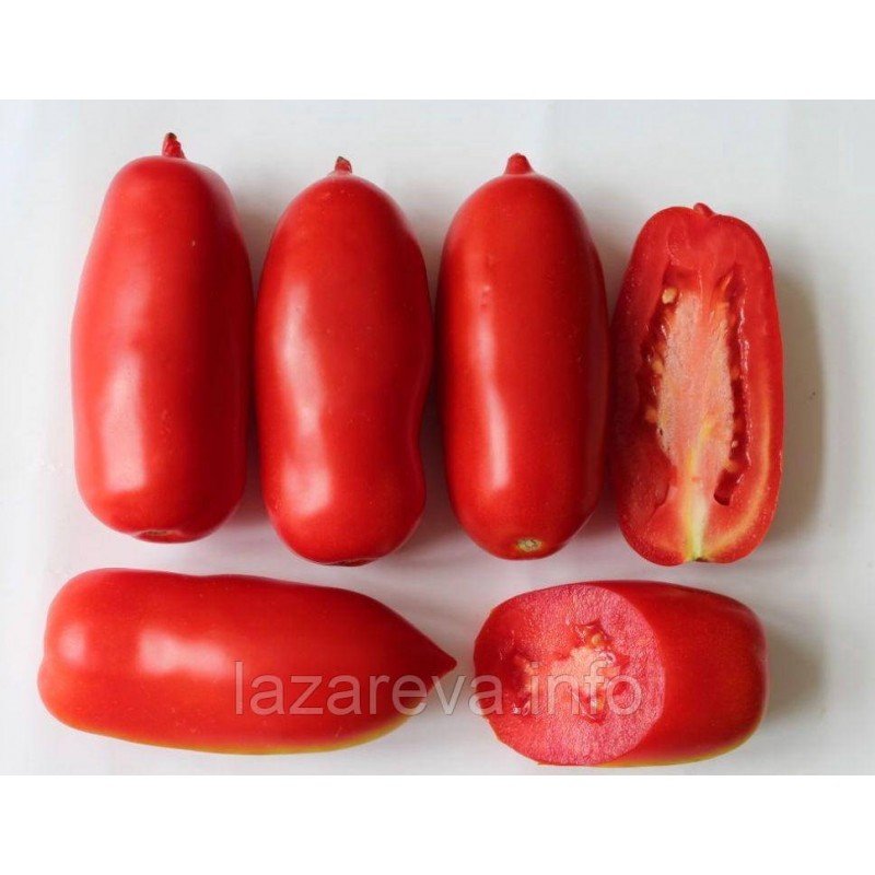 Насіння томату Патруль F1 10 шт Насіння томату Патруль F1 10 шт