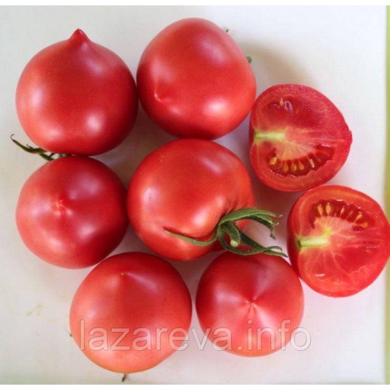 Насіння томату Любомир F1 10 шт Насіння томату Любомир F1 10 шт