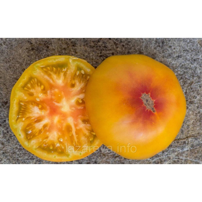 Семена томата Гном Вихрь 10 шт Семена томата Гном Вихрь 10 шт